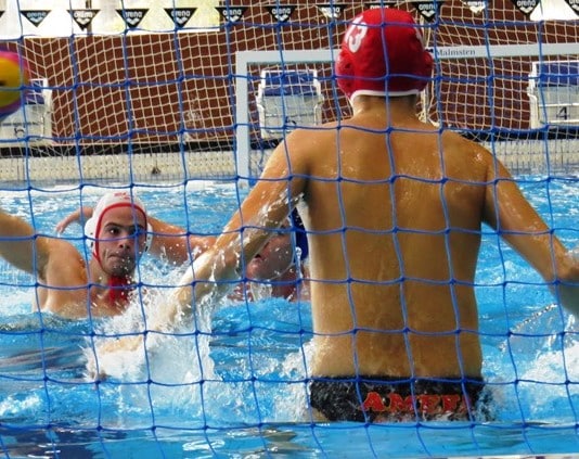 Galerie Foto: Dinamo – Amefa 15-6